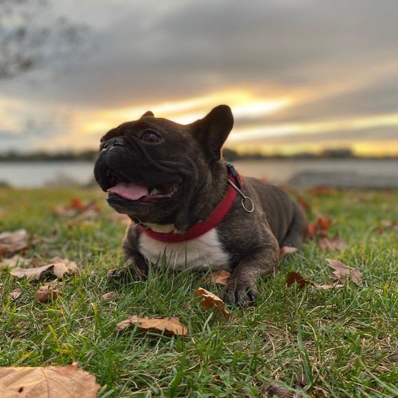 Meet your Posher, Megan - Picture 2 of 5